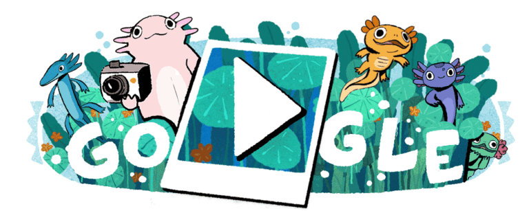Snap a Pic of Some of the Axolotls in the Google Doodle Celebrating Lake Xochimilco
